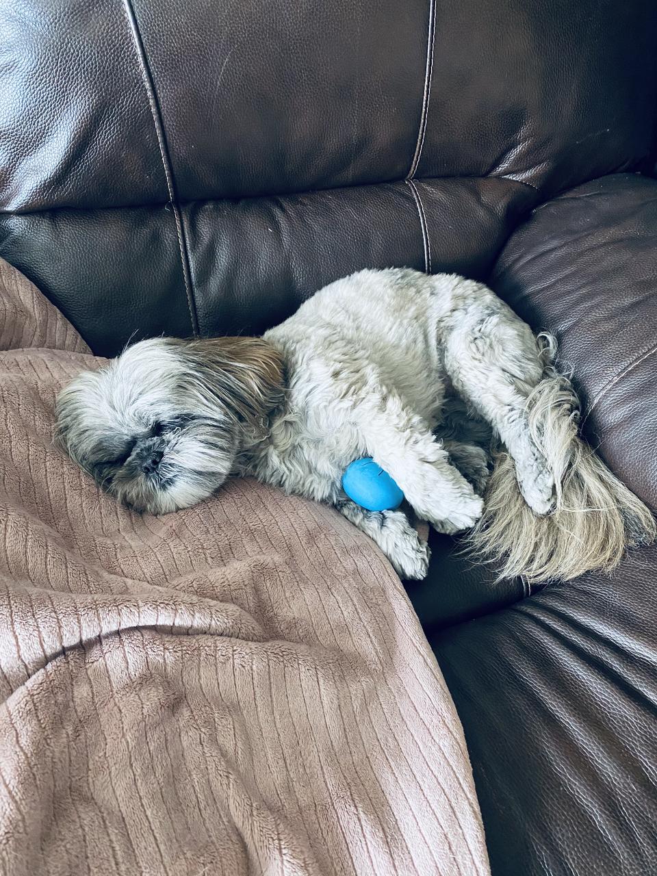 Profile photo 10 of 10