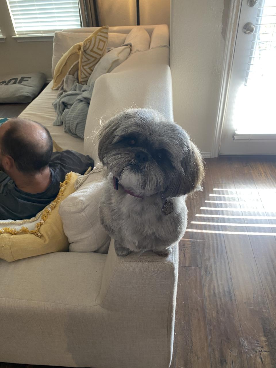 Profile photo 8 of 10