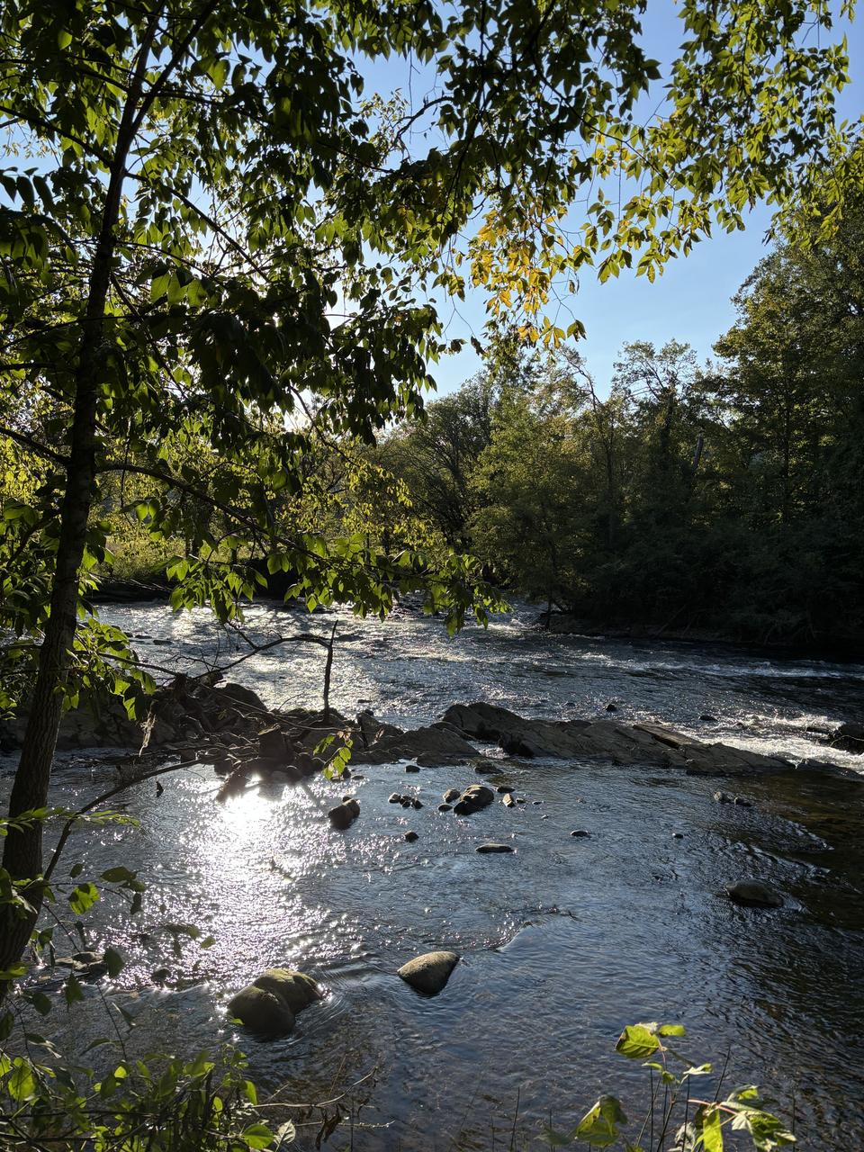 Profile photo 4 of 10