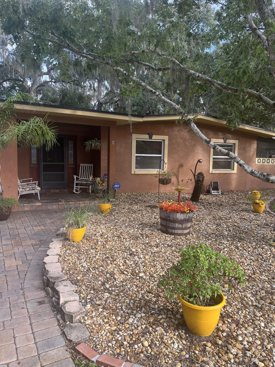 Profile photo 10 of 13