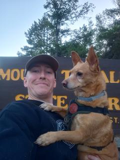Roommate looking Sacramento, CA, $900