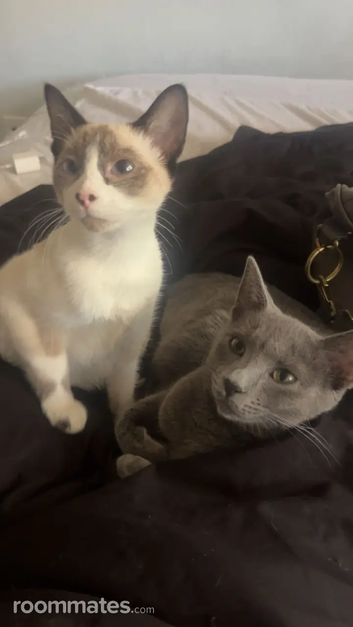 Profile photo 4 of 4