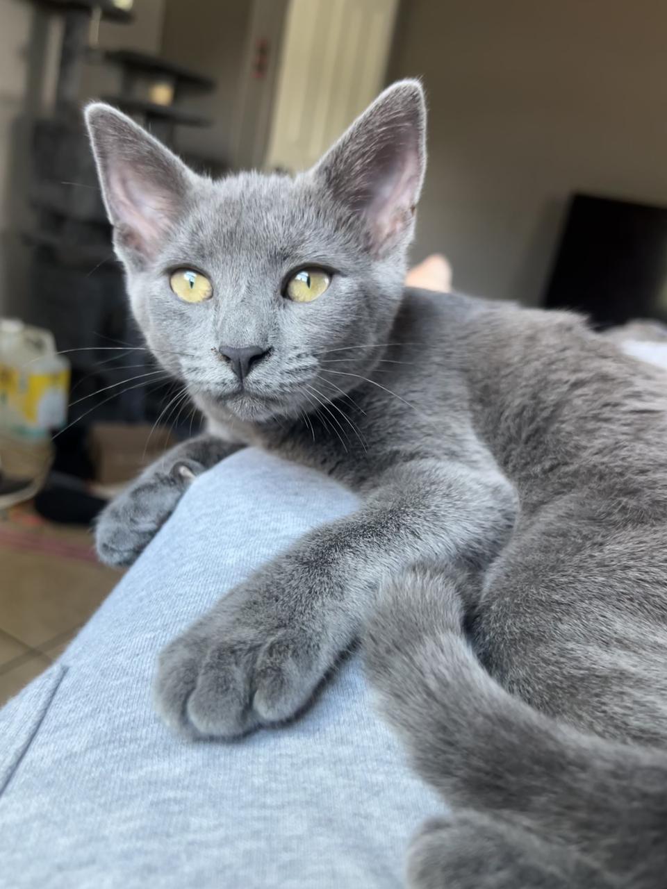 Profile photo 2 of 4