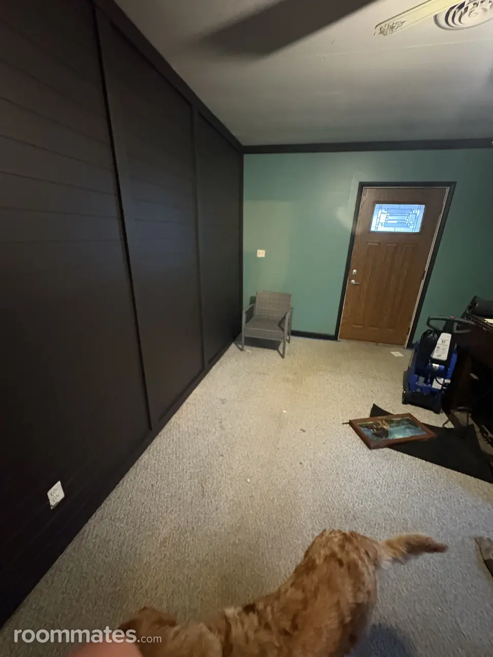 Profile photo 4 of 12