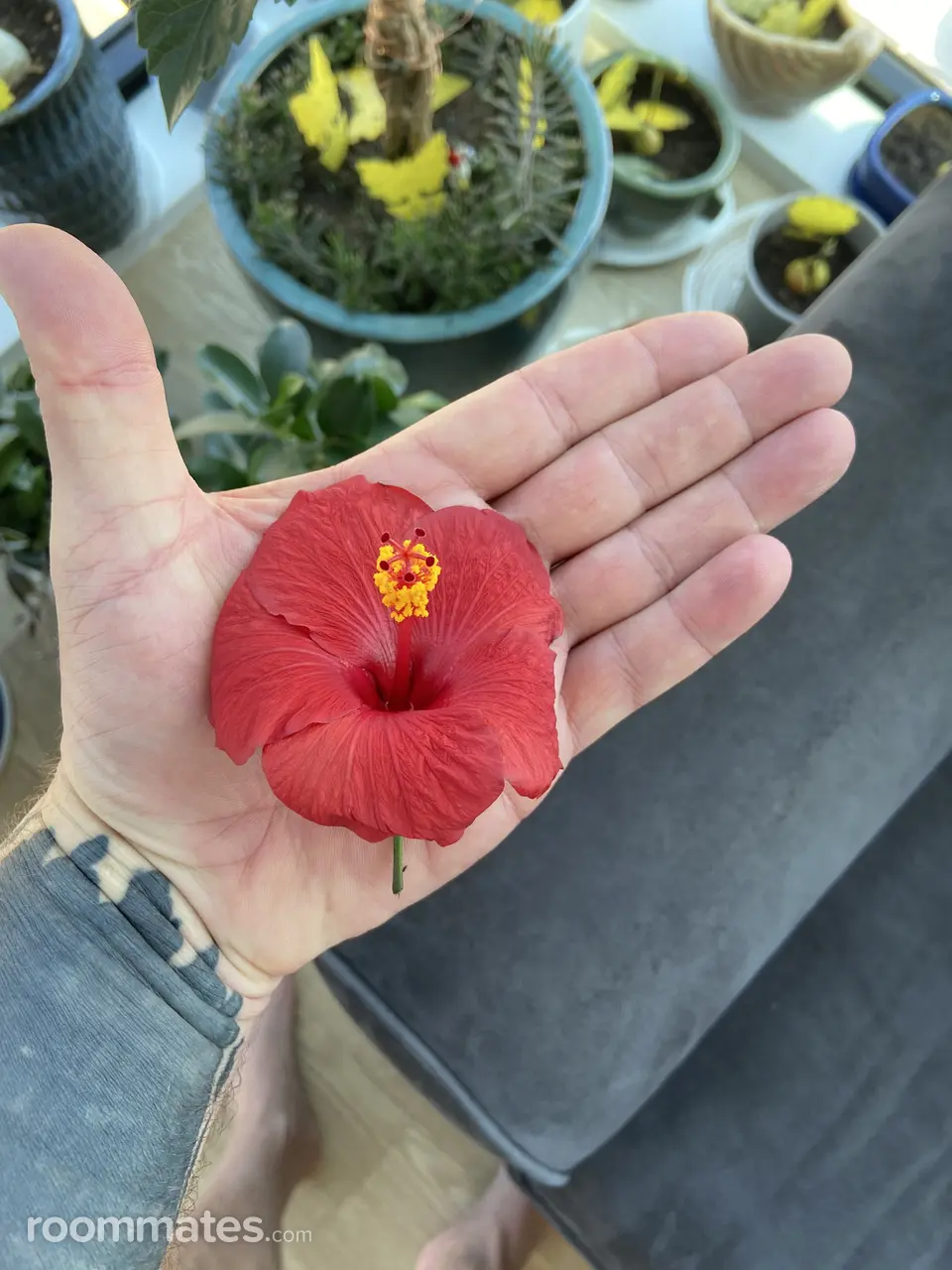 Profile photo 2 of 8