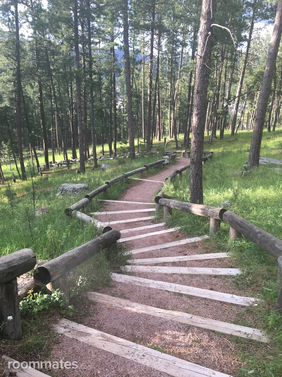 Profile photo 4 of 8