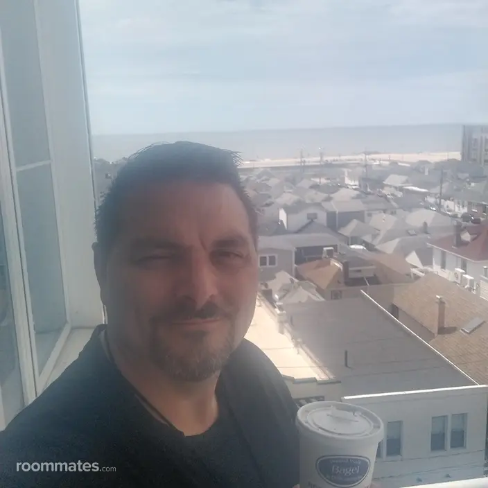Roommate looking White Lake, MI, $900