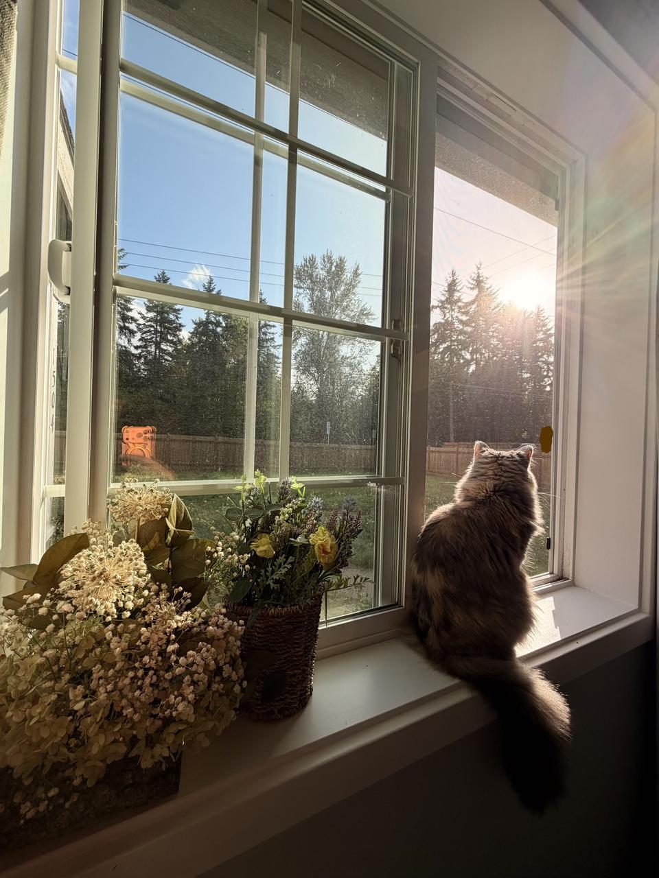 Profile photo 1 of 2