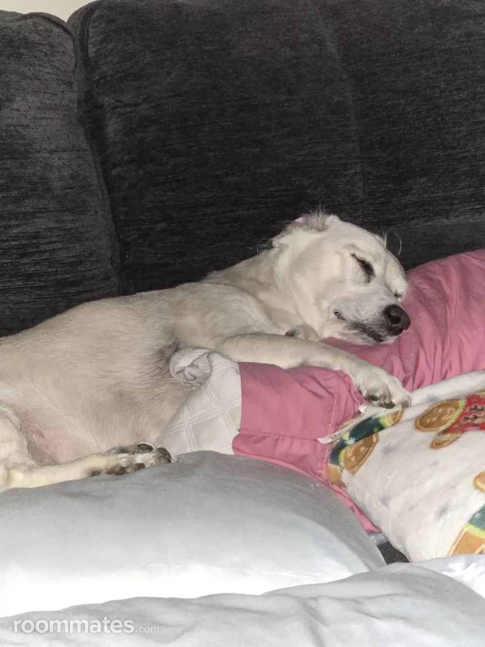 Profile photo 1 of 1