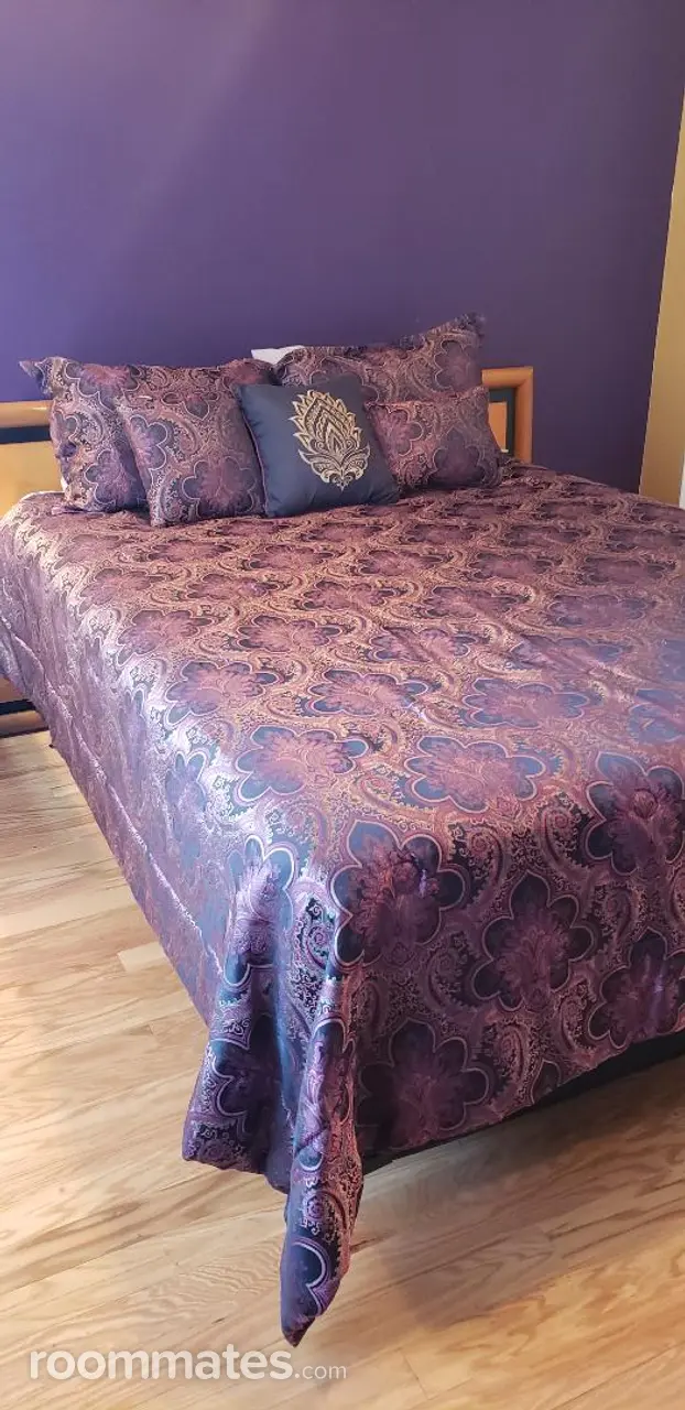 Profile photo 1 of 13