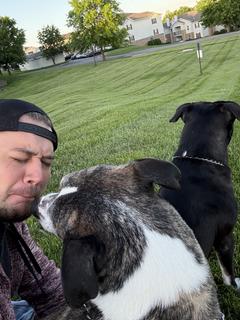 Roommate looking Edmond OK, $900