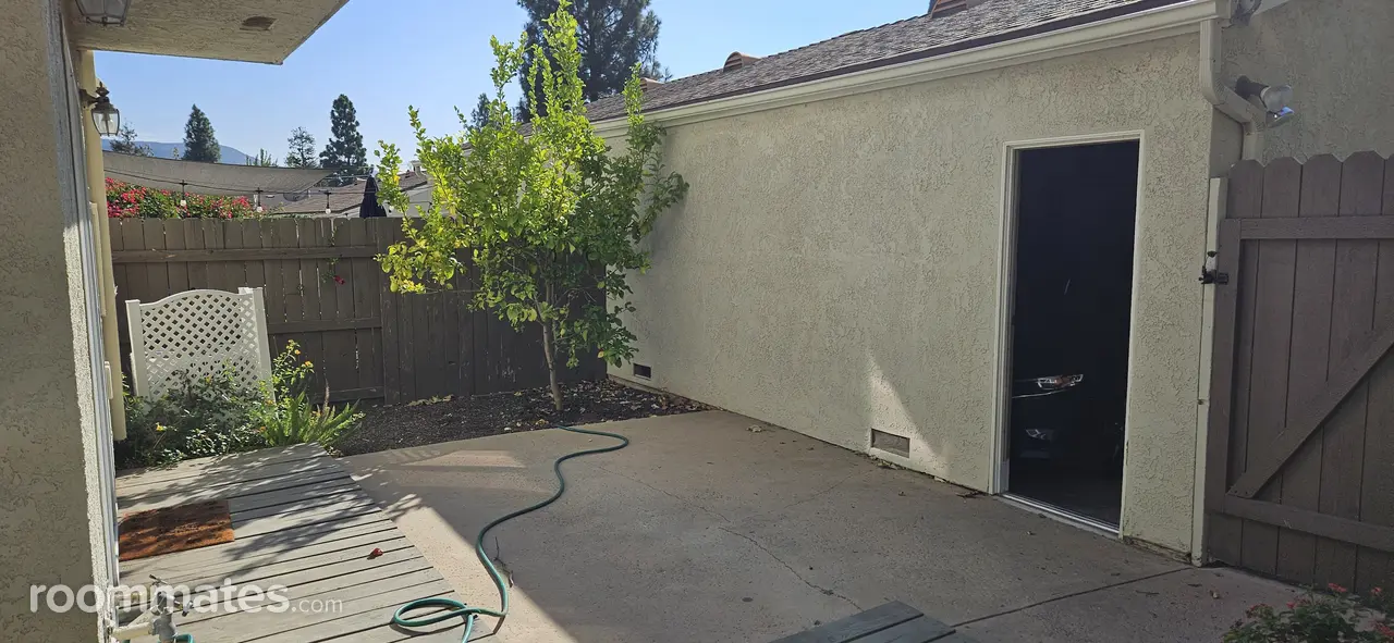 Profile photo 6 of 11