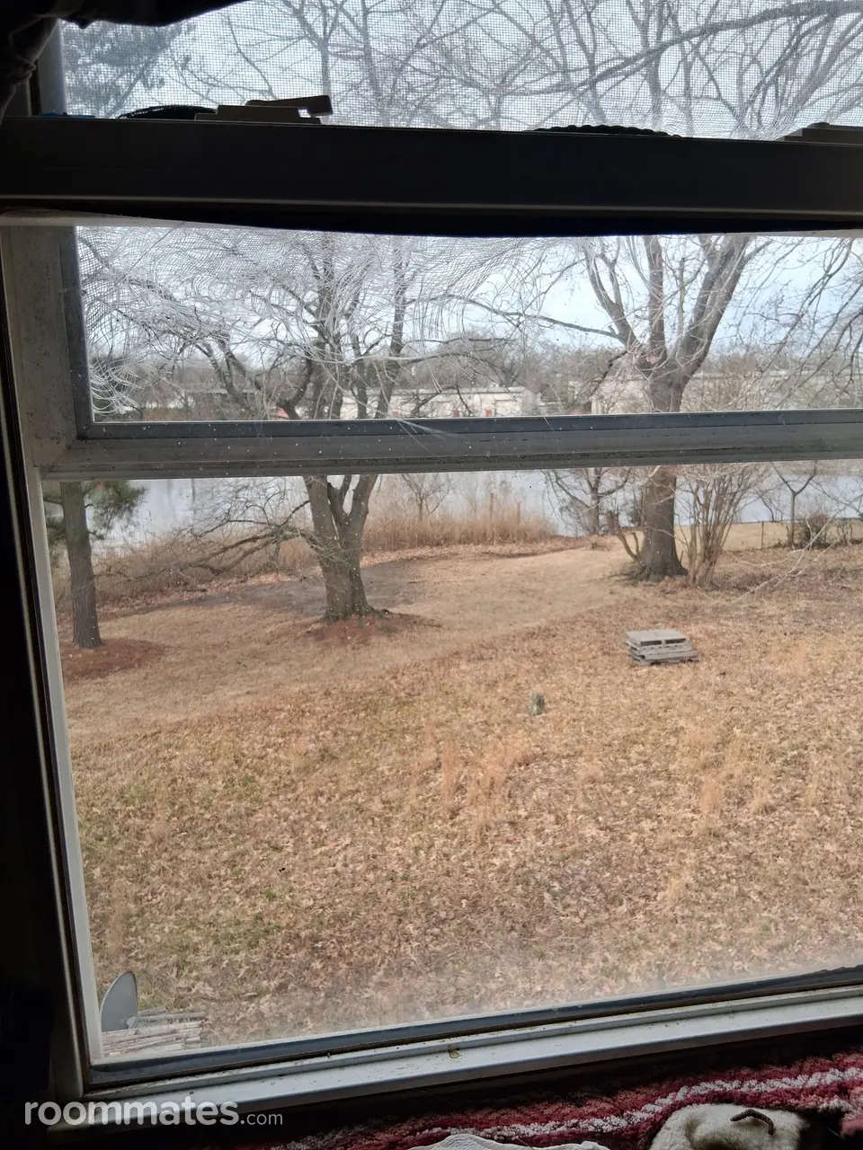 Profile photo 8 of 10