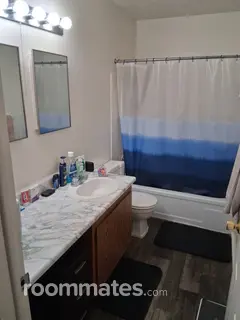 Room for rent in Saginaw, MI $450, apartment