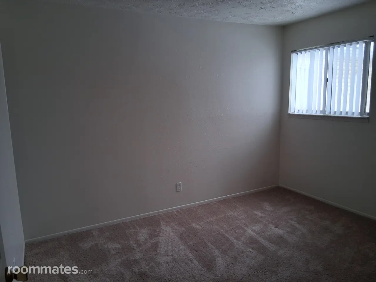 Profile photo 5 of 8