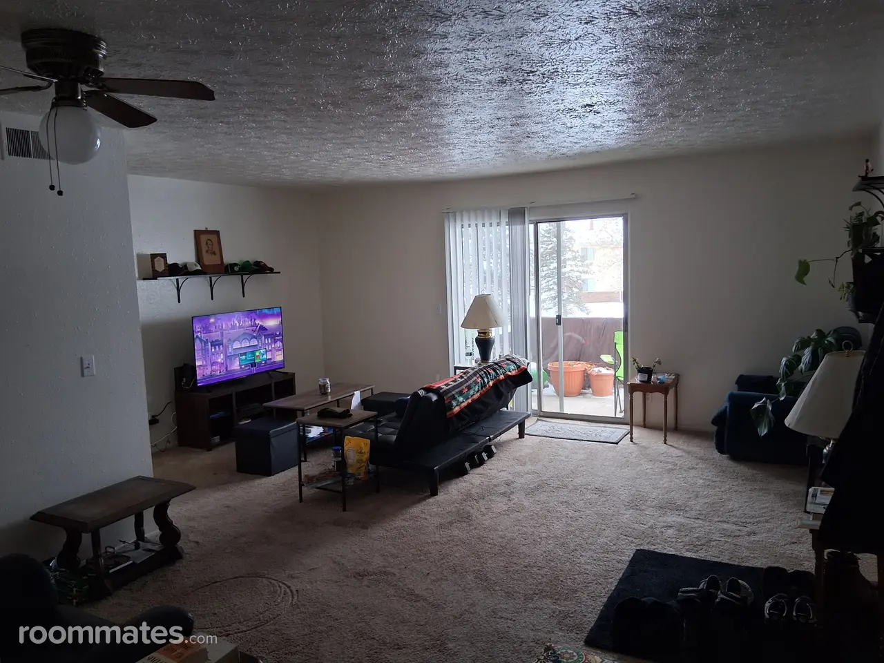 Profile photo 7 of 8