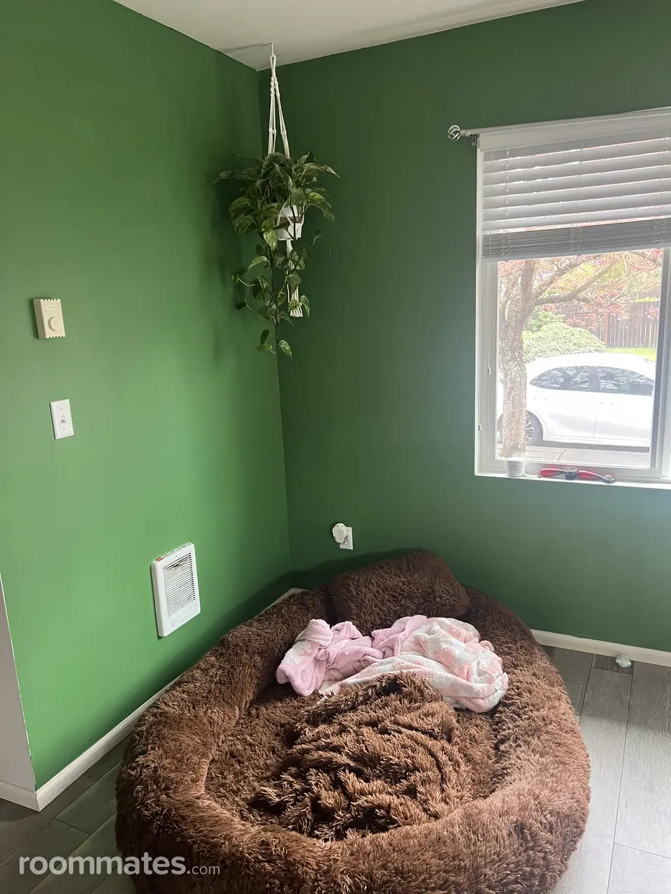 Profile photo 3 of 7