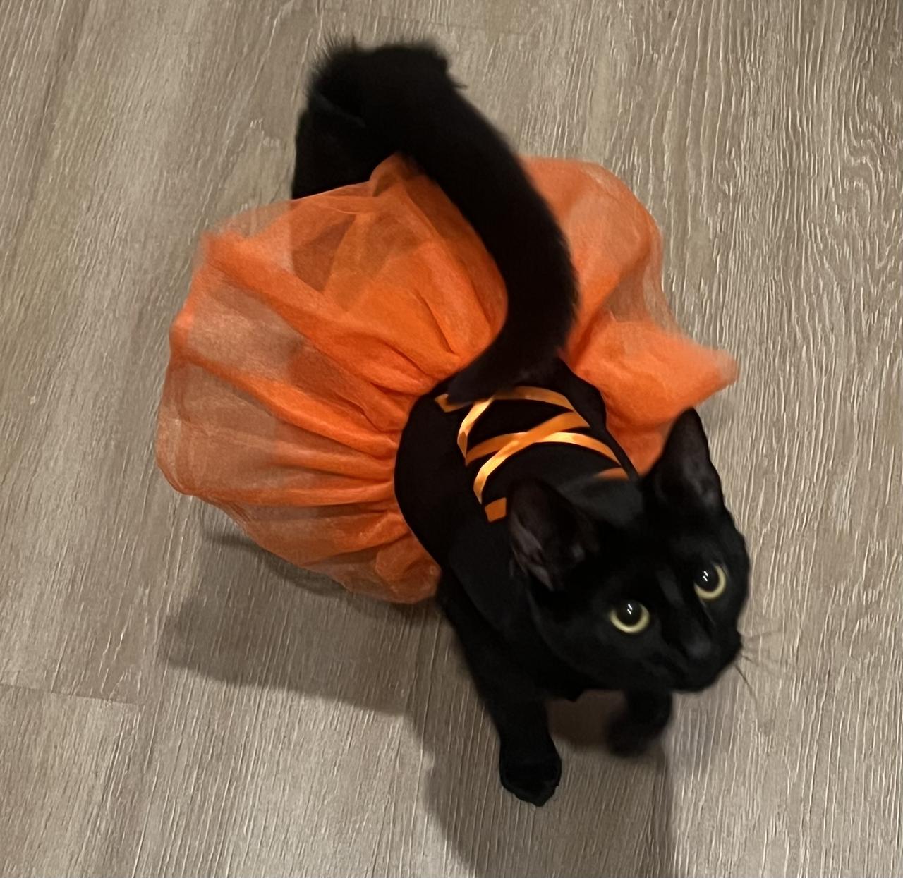 Profile photo 12 of 14