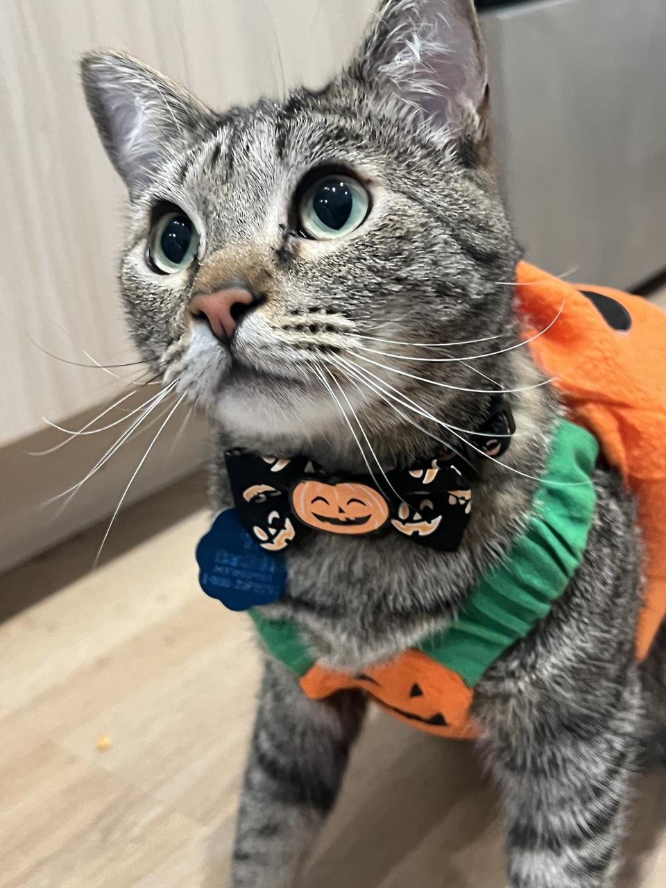 Profile photo 13 of 14