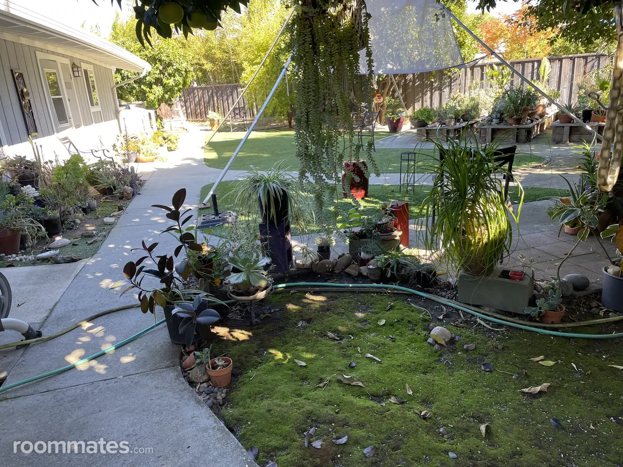 Profile photo 11 of 12