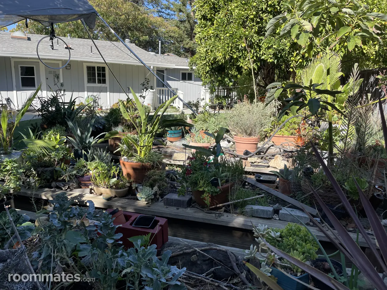 Profile photo 10 of 12