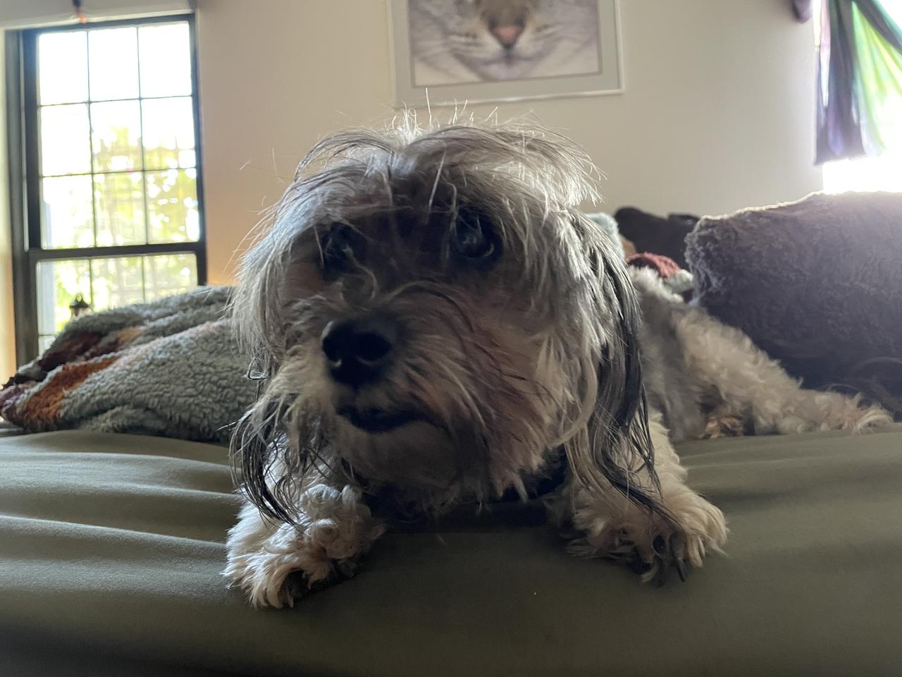 Profile photo 7 of 12