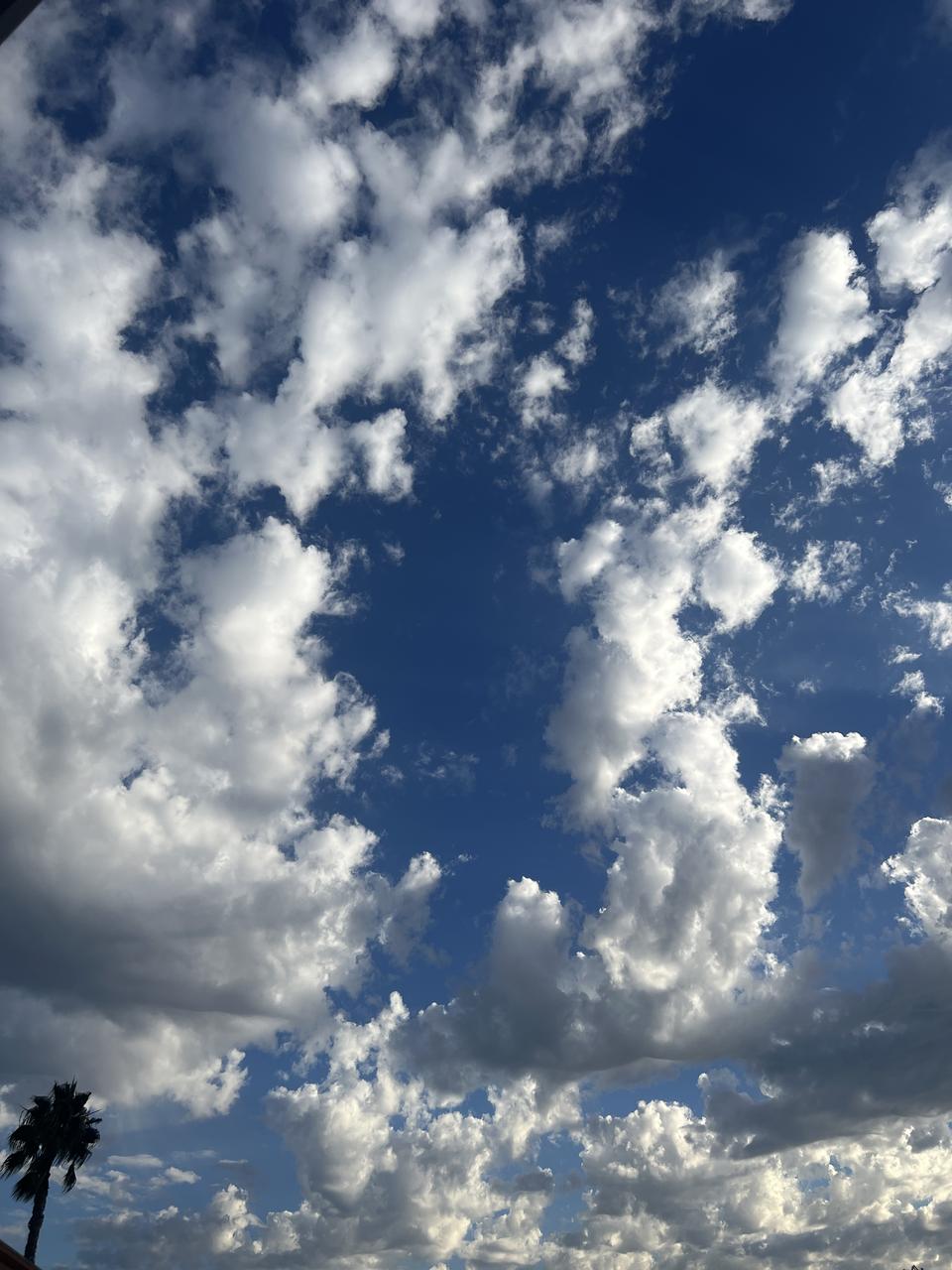 Profile photo 1 of 1