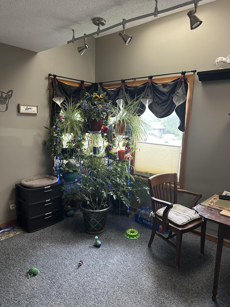 Profile photo 8 of 10