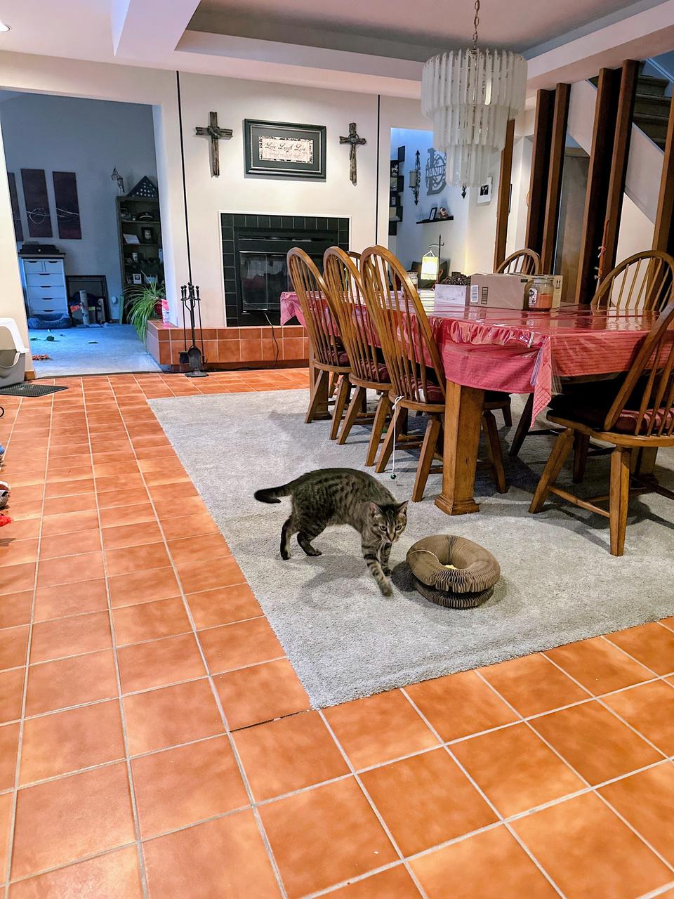 Profile photo 4 of 10