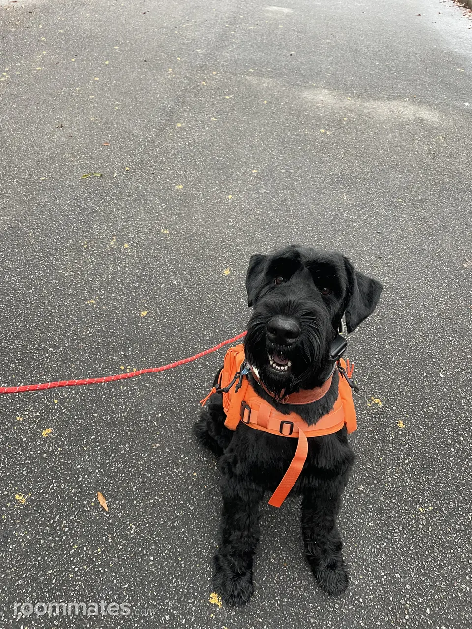 Profile photo 2 of 3