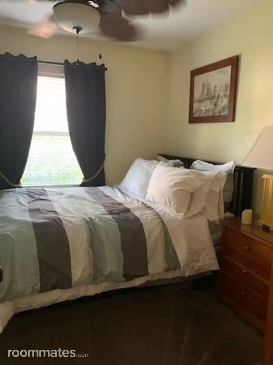 Profile photo 3 of 11