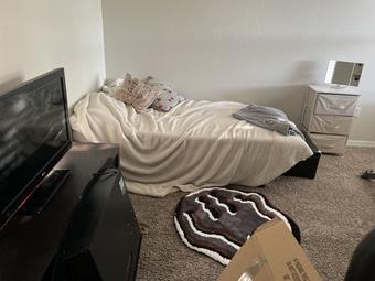 Room for rent in Tampa, FL $950, apartment
