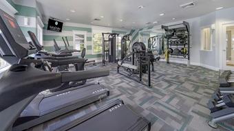 Room for rent in Tampa, FL $950, apartment