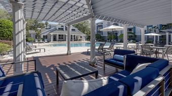 Room for rent in Tampa, FL $950, apartment