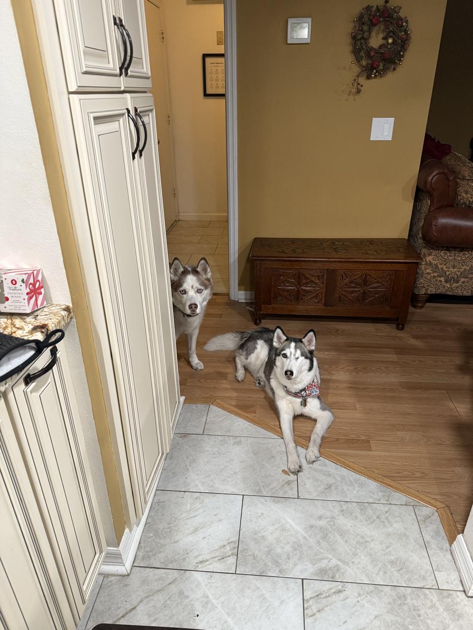 Profile photo 15 of 17