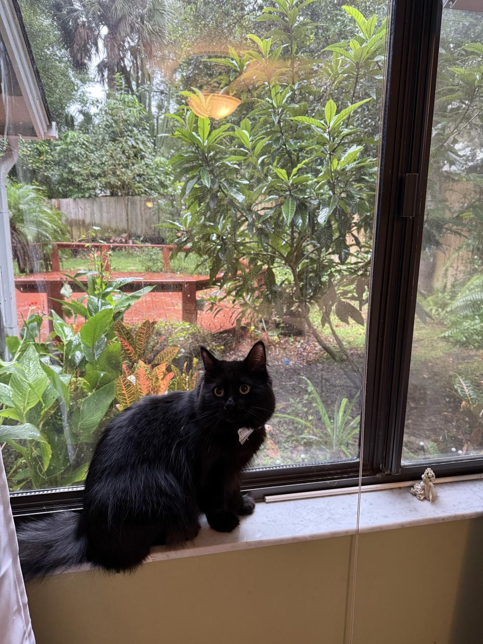 Profile photo 16 of 17