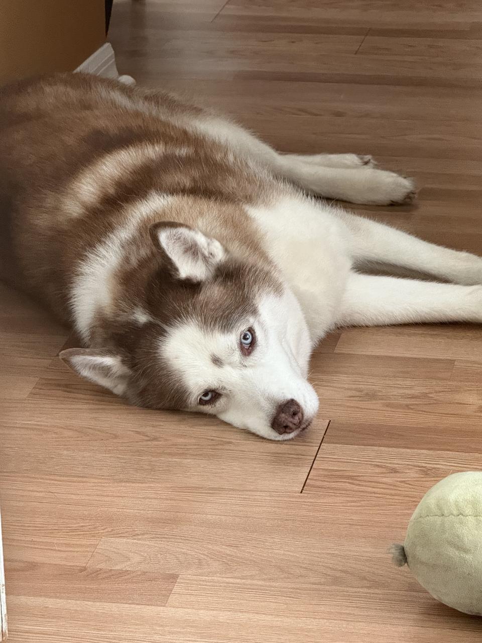 Profile photo 14 of 17