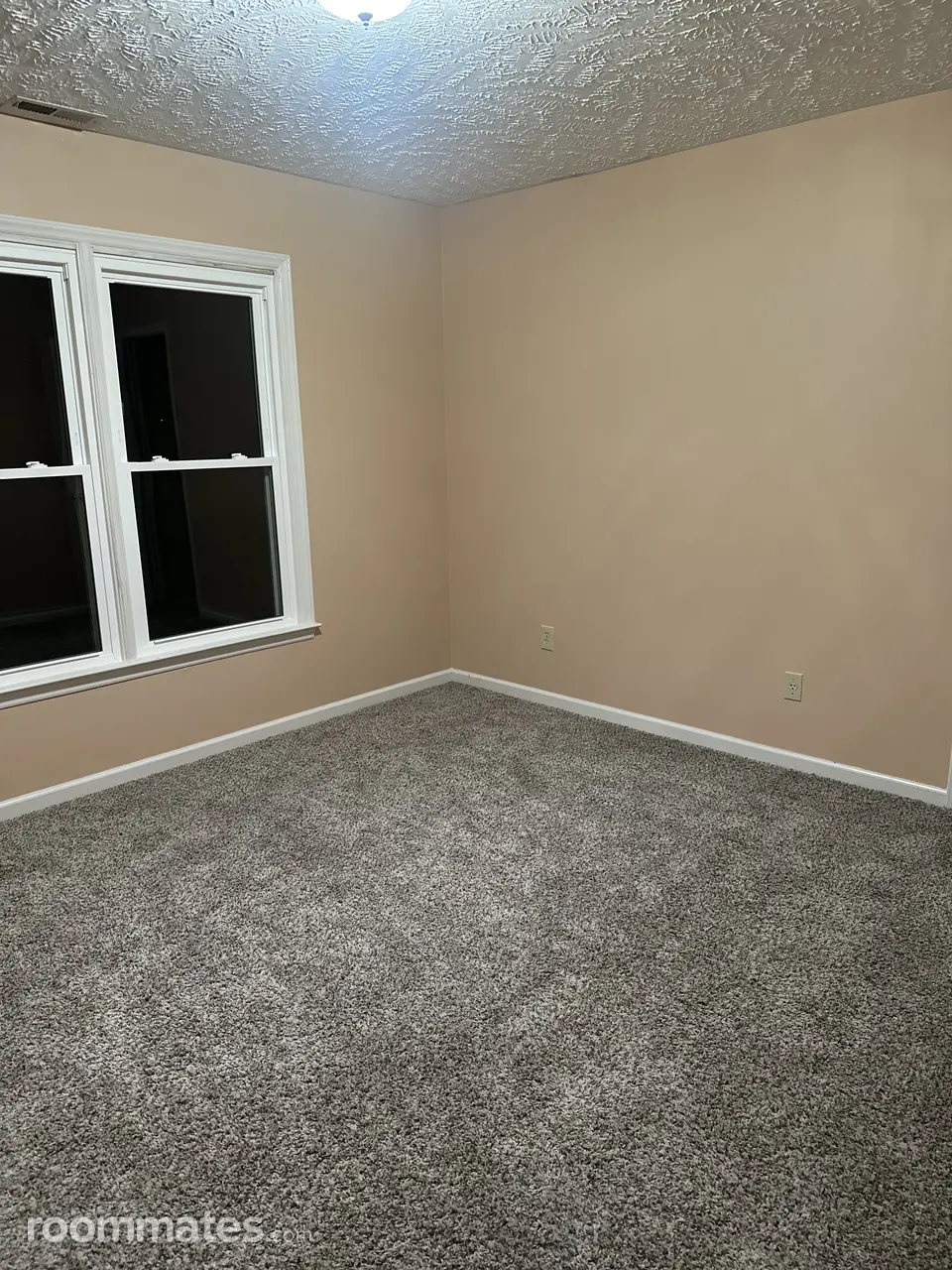 Profile photo 7 of 12