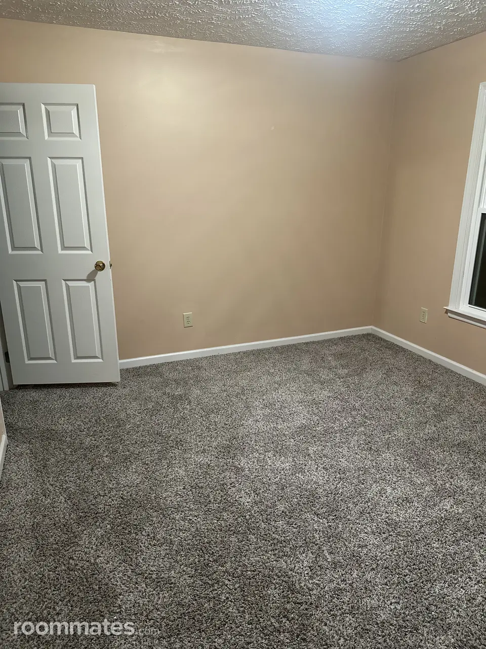 Profile photo 11 of 12