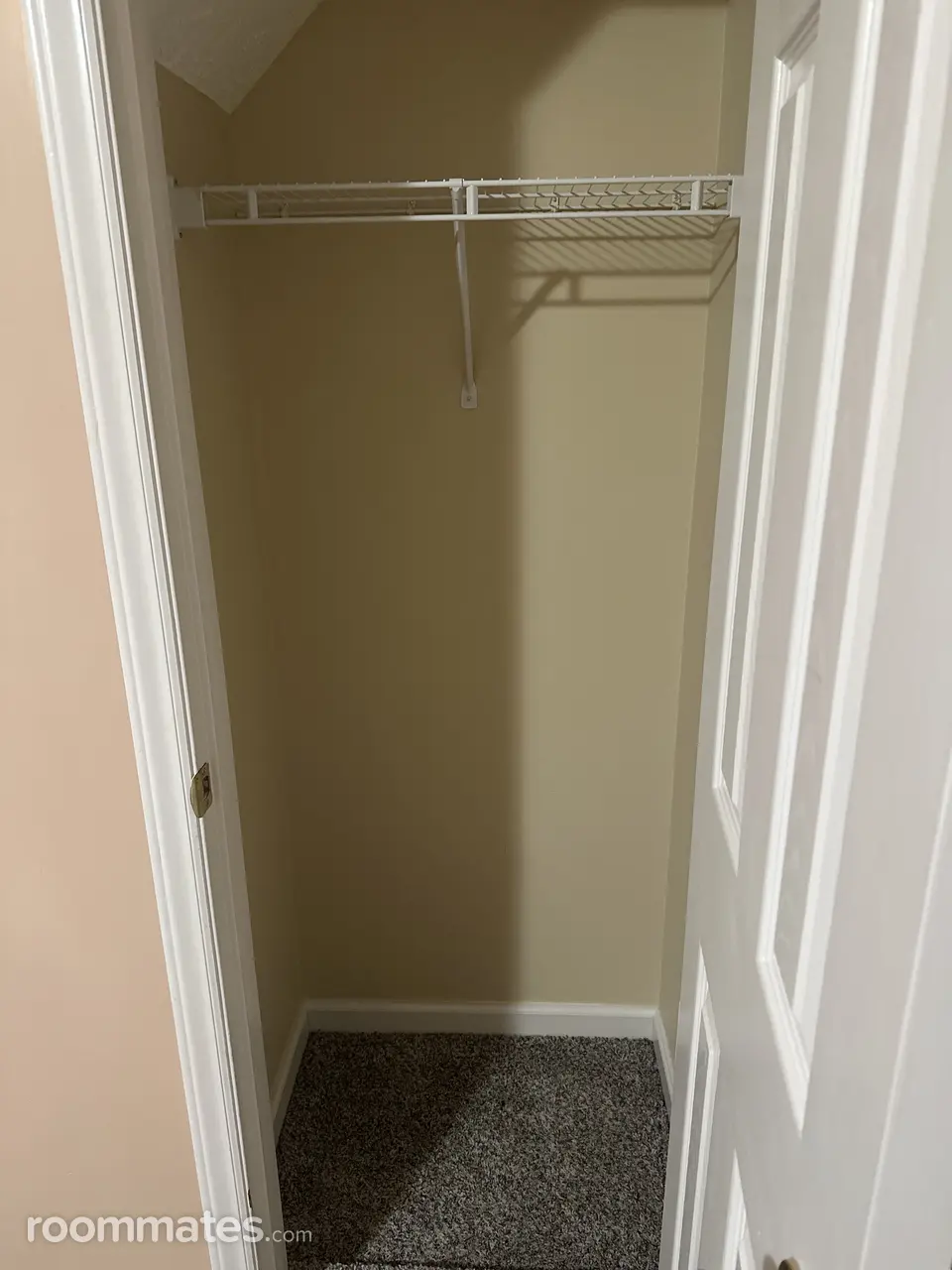 Profile photo 10 of 12