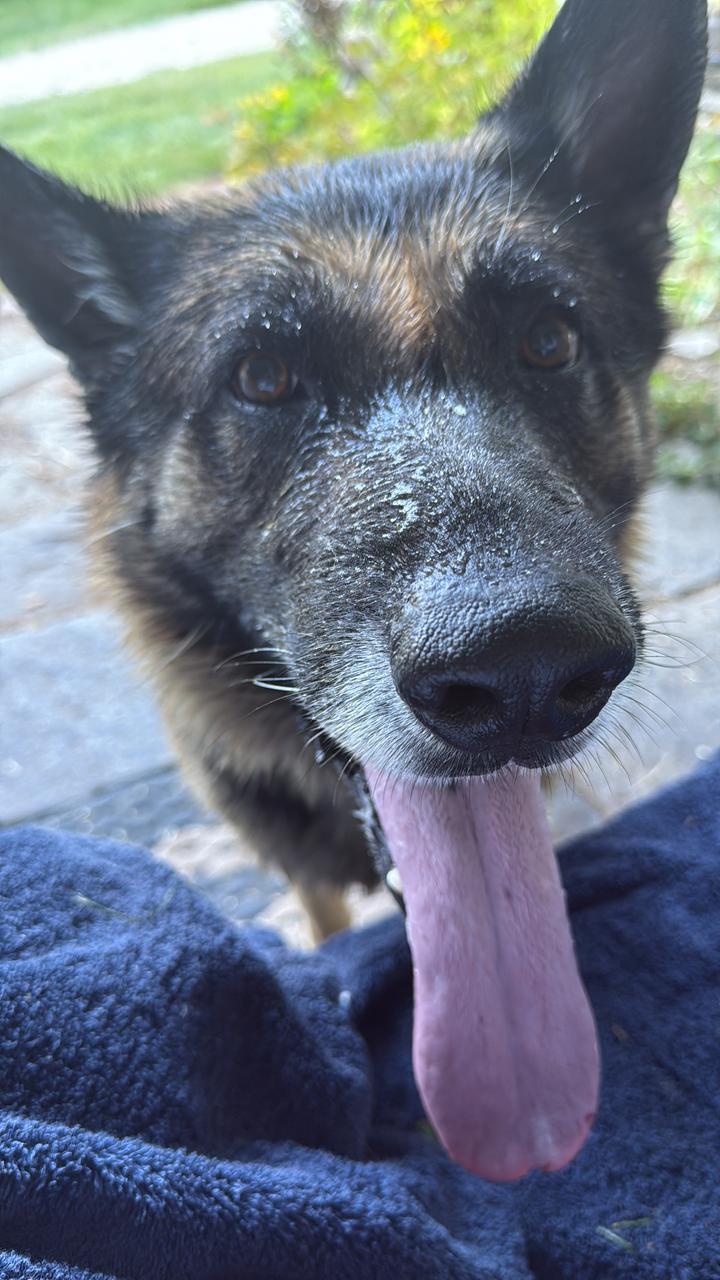 Profile photo 7 of 11