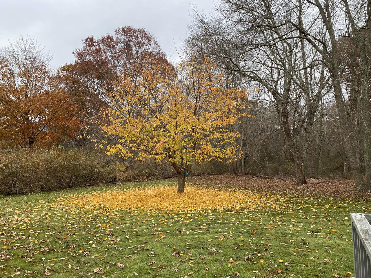 Profile photo 10 of 11