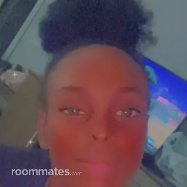 Roommate looking St. Augustine, FL, $200