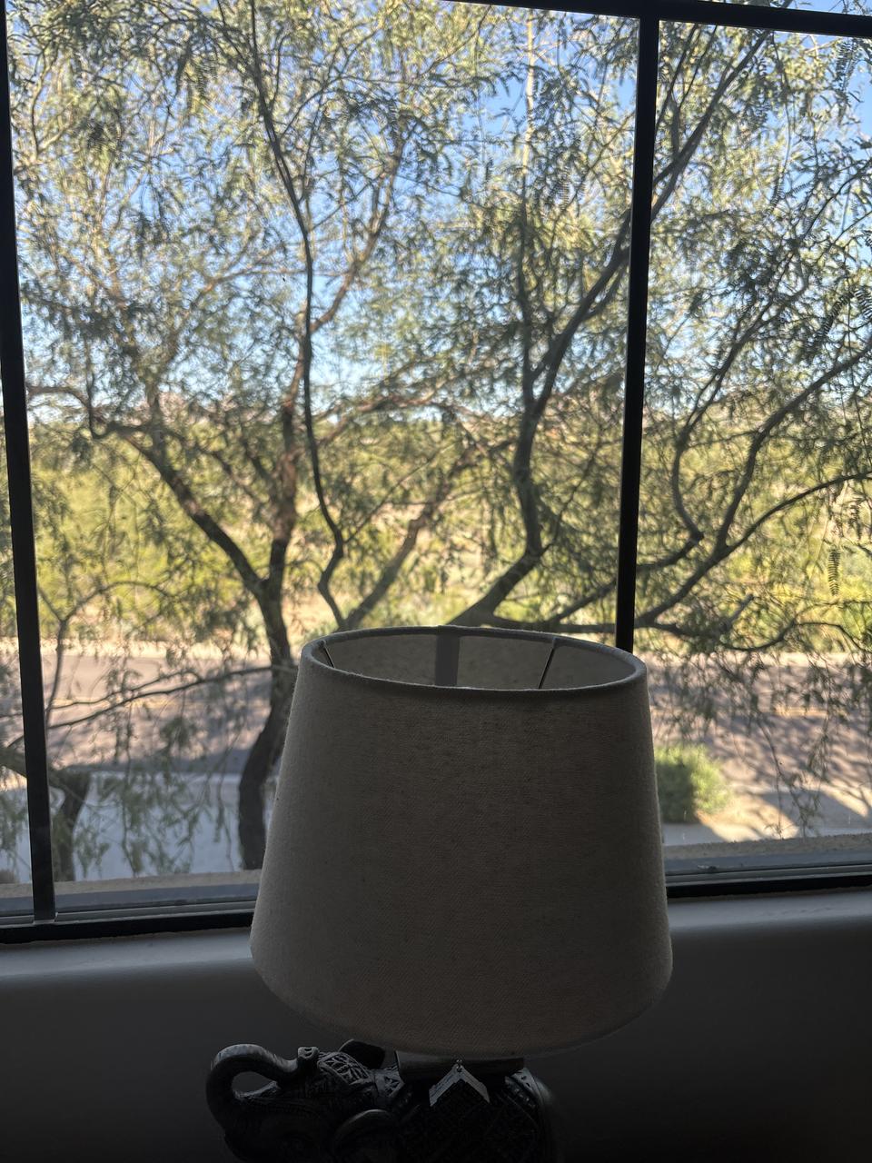 Profile photo 2 of 5