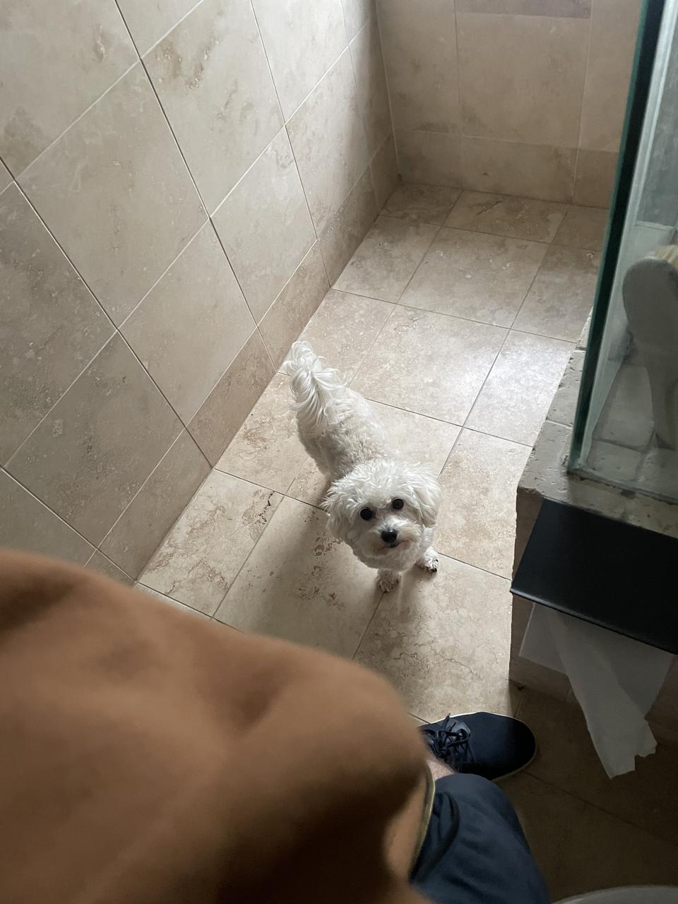 Profile photo 12 of 13