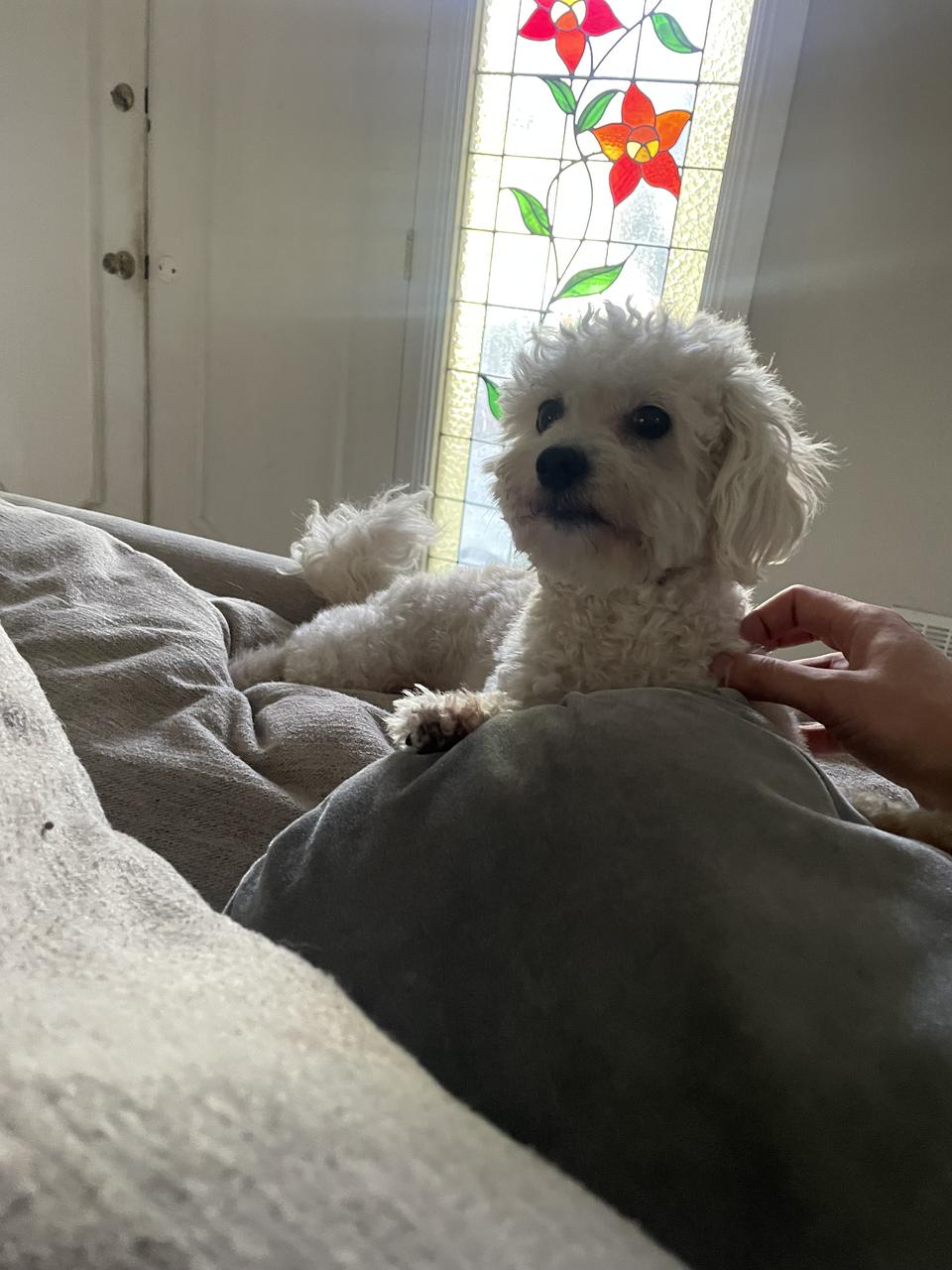 Profile photo 9 of 13