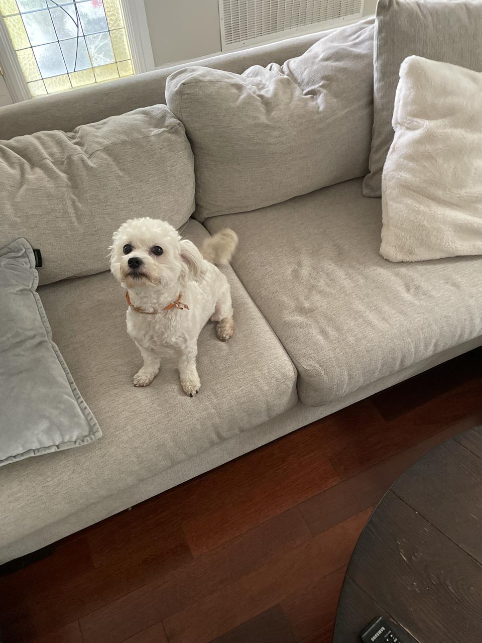 Profile photo 10 of 13