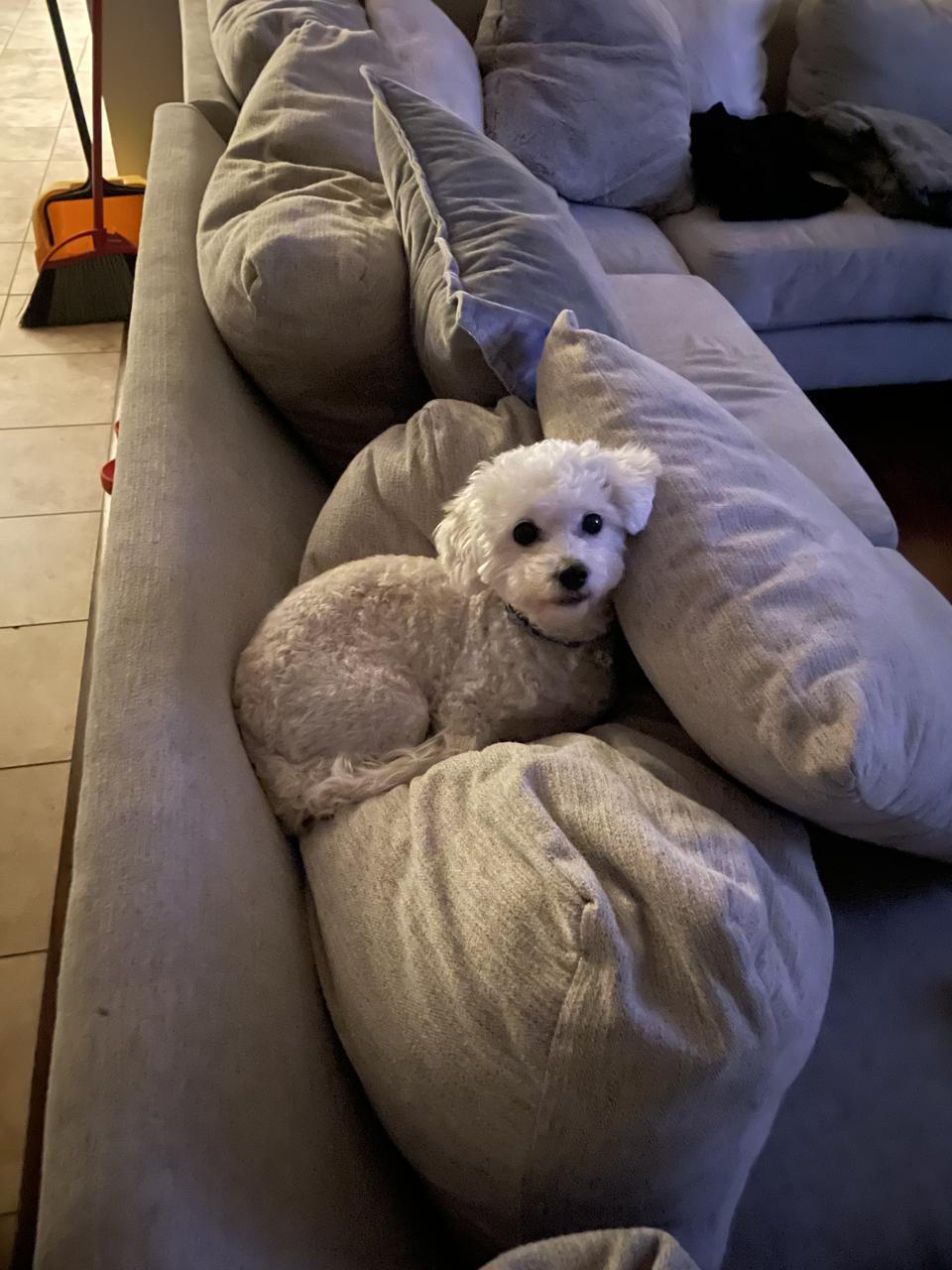 Profile photo 11 of 13