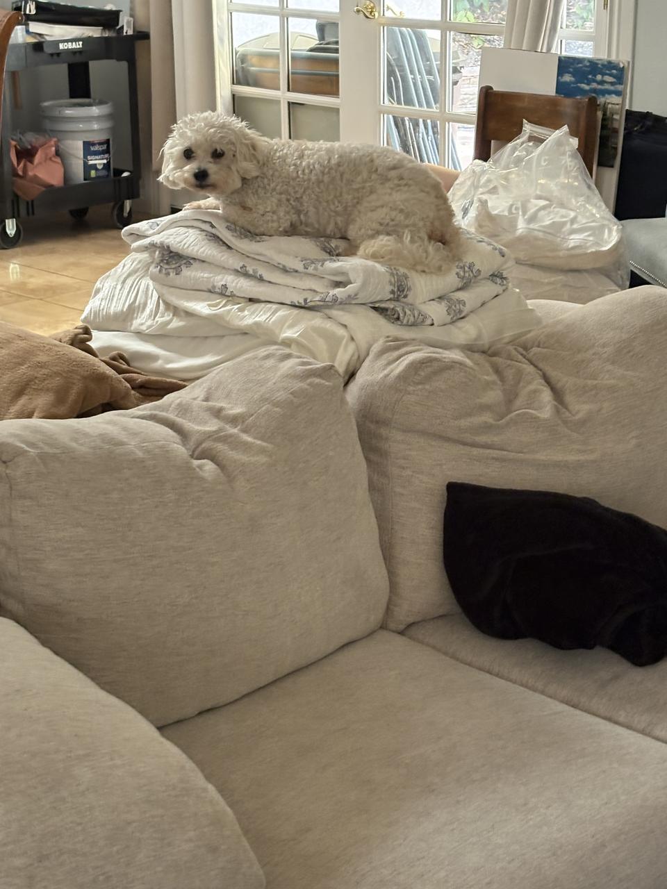 Profile photo 8 of 13