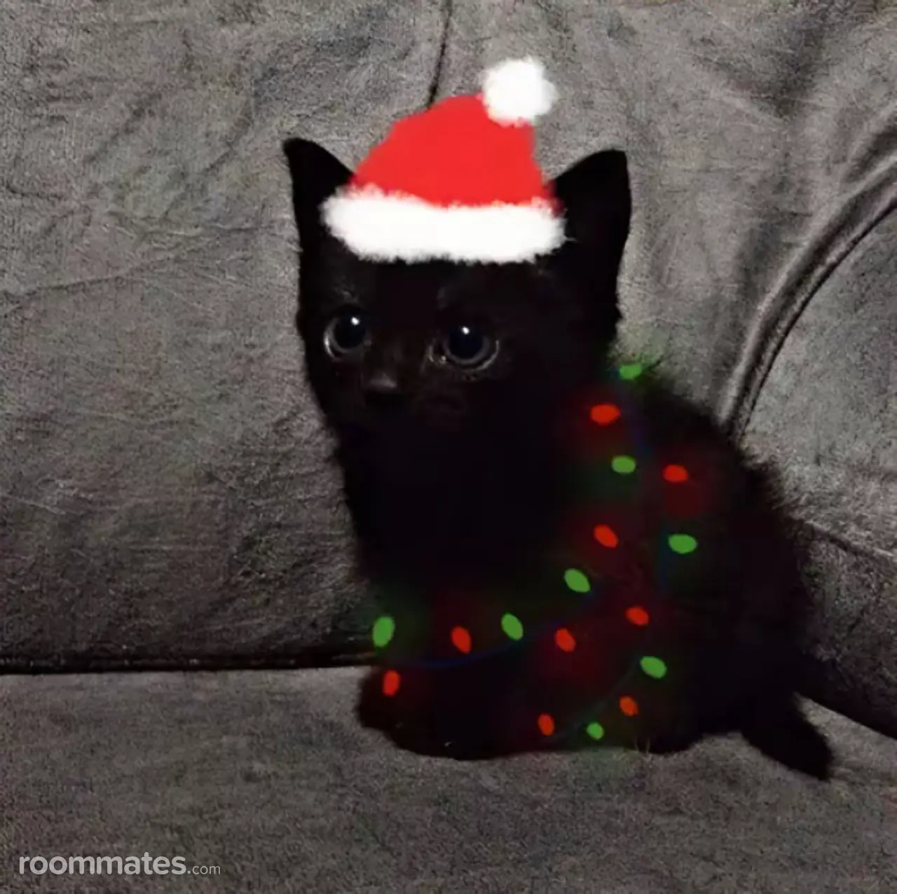 Profile photo 1 of 2